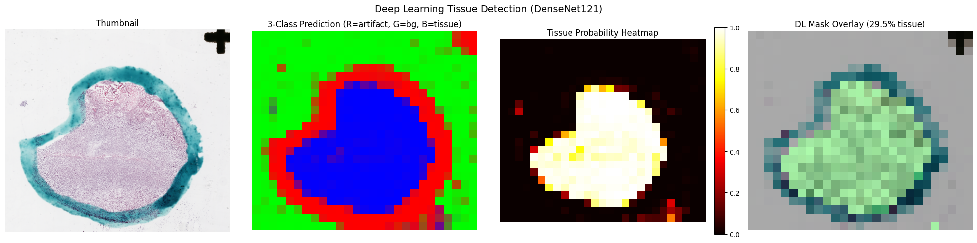 Deep learning tissue detection visualization